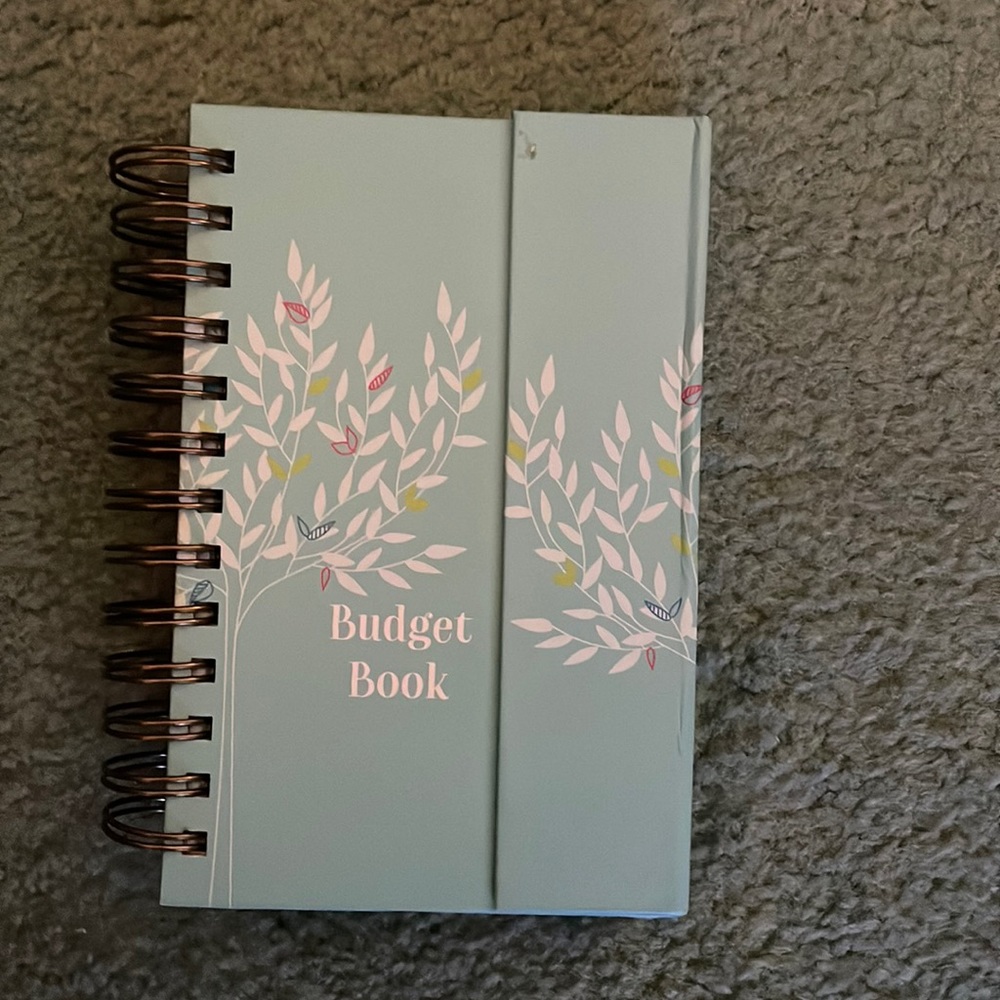 Book to balance a budget